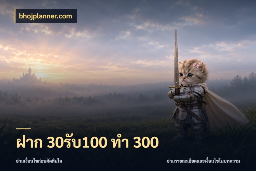 ฝาก 30รับ100 ทำ 300 ยอดฝากและยอดรับในมุมของคนชอบลุ้น ในมุม bhojplanner.com